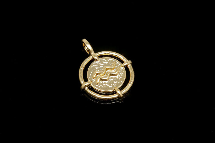 [W] R025-NO.1-Gold Plated-(10pcs)-12*16mm Aquarius-Zodiac Horoscope Sign Constellation Charm-Celestial Astrology Medallion Pendant-Wholesale Zodiac, [PRODUCT_SEARCH_KEYWORD], JEWELFINGER-INBEAD, [CURRENT_CATE_NAME]