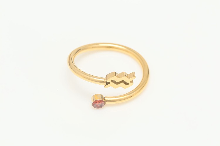 ST036-Gold Plated-(1piece)-Aquarius-Stainless Steel Zodiac Ring,Birthstone Ring,Constellation Jewelry,Minimalist Stackable Ring,Waterproof,Anti-tanish, [PRODUCT_SEARCH_KEYWORD], JEWELFINGER-INBEAD, [CURRENT_CATE_NAME]
