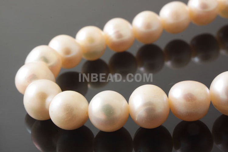 E445-Freshwater Pearl-(1Strand)-7.5~8.5mm Freshwater Pearl-White-Wholesale Pearl, [PRODUCT_SEARCH_KEYWORD], JEWELFINGER-INBEAD, [CURRENT_CATE_NAME]