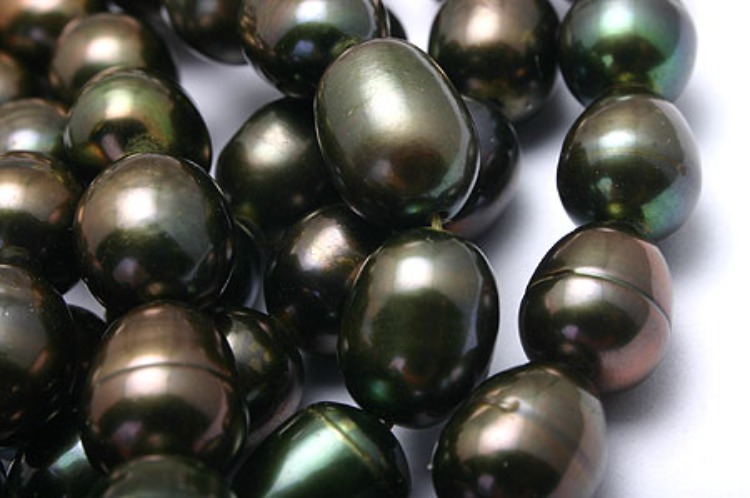 E405-Freshwater Pearl-(1Strand)-7.5*8.5mm Freshwater Pearl Oval Beads-Natural Pearls-Dark Green-Wholesale Pearl, [PRODUCT_SEARCH_KEYWORD], JEWELFINGER-INBEAD, [CURRENT_CATE_NAME]