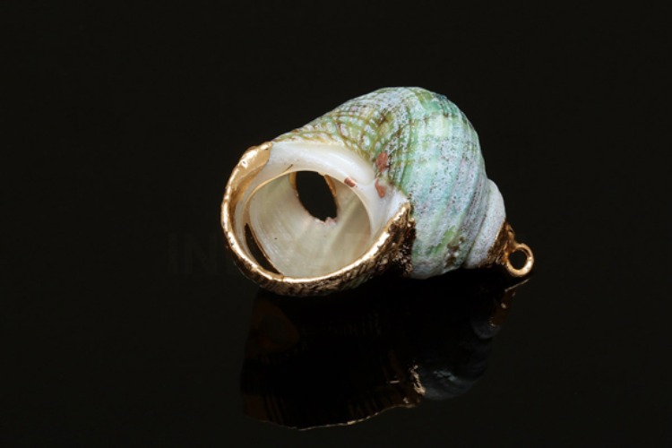 [W] G591-Gold Plated-(20pcs)-Real Shell-Turban Shell-Gold Plated Nature Clam-Sea Shell Pendant Charm-Clam Shell Pendant Charm-Wholesale Pearl, [PRODUCT_SEARCH_KEYWORD], JEWELFINGER-INBEAD, [CURRENT_CATE_NAME]