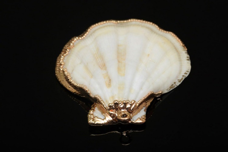 [W] G593-Gold Plated-(20pcs)-Real Shell-Scallop Shell-Nature Clam-Sea Shell Pendant Charm-Clam Shell Pendant Charm-Wholesale Pearl, [PRODUCT_SEARCH_KEYWORD], JEWELFINGER-INBEAD, [CURRENT_CATE_NAME]